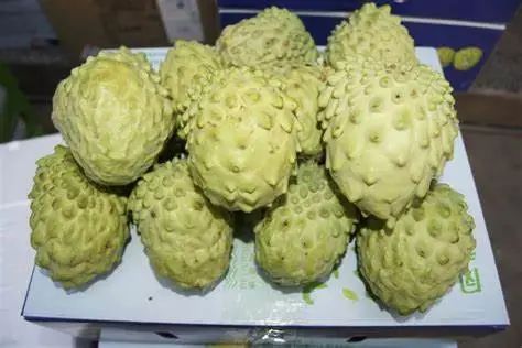 訂單只剩十分之一？外銷靠倒貼