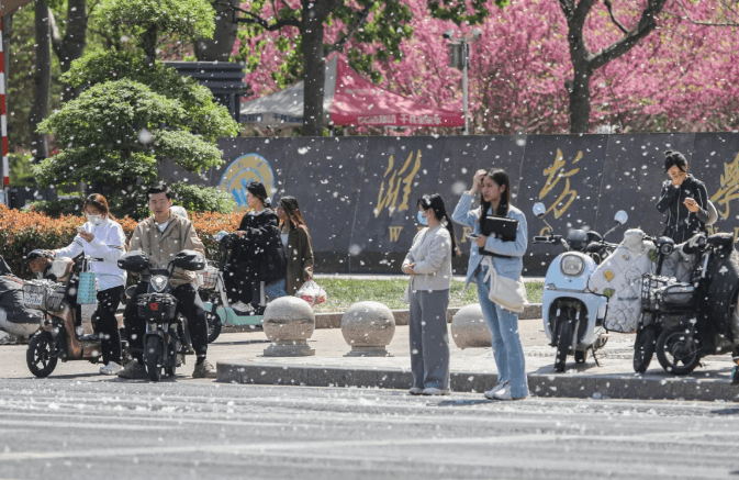 这款“防过敏神器”火了！医生提醒→