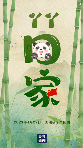 你要写大熊猫，就不能只写大熊猫