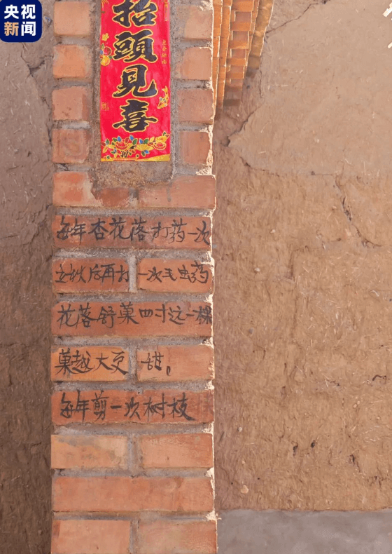 墙壁上这些文字，是他认认真真的一生