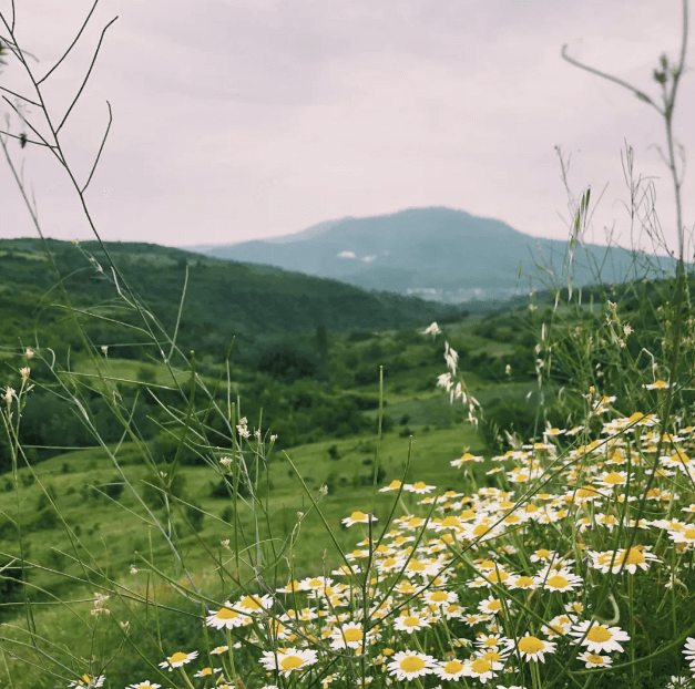 温馨提示：接下来的23天都是人间四月天
