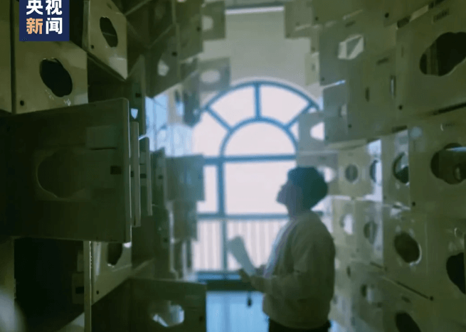 95后殡葬师：我的工作是纪念生命的存在