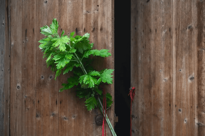 势观台海｜两岸端午都互道安康