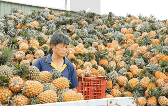“没有比大陆更适合的市场”