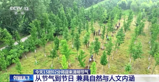 从节气到节日 这些关于清明的知识你了解吗？