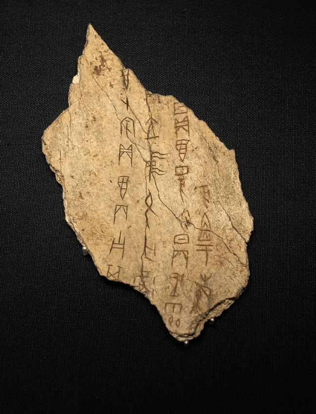 根脉中华｜3600多年前的文字“活”了