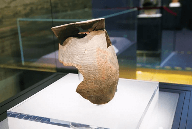 李守奎：汉字与中华文明传承