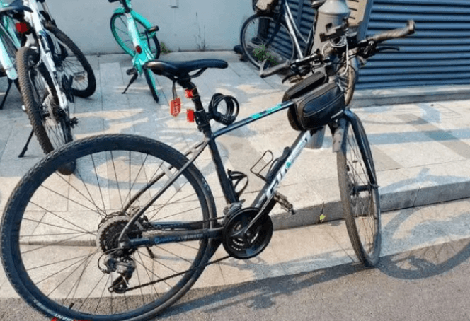 要啥自行车(牌)？