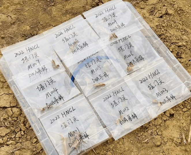 M008号和他“消失”的81年