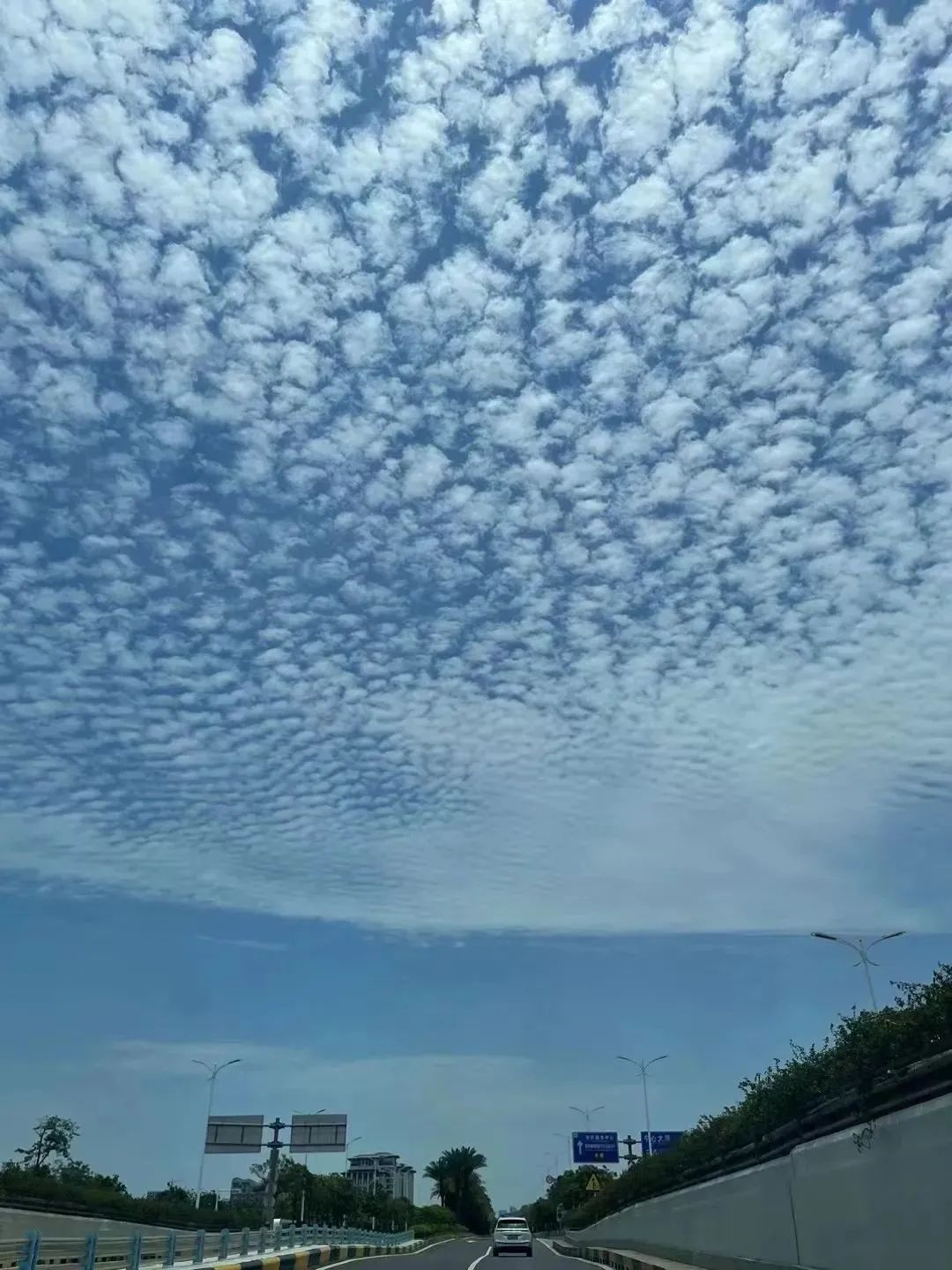 “鱼鳞云”刷屏，广东多地将有大到暴雨