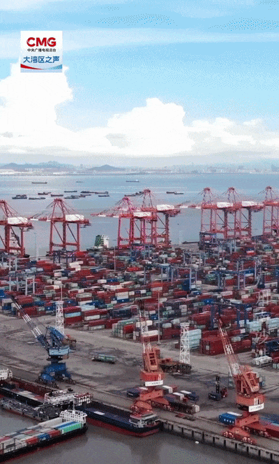 勇立潮头大湾区 | 震撼！看广州南沙港智慧码头“隔空取物”