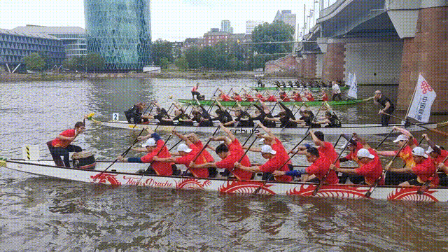 大湾区龙舟“扒”到德国了，还“顺便”拿了个奖！