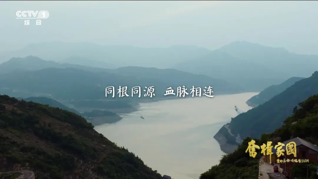 总台端午特别节目里有一段台湾同胞回家的故事