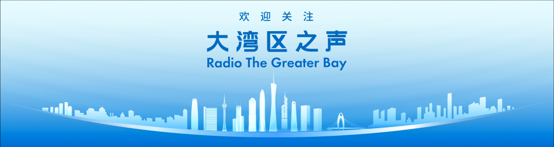 这张证件火了，外籍港人对大湾区之声说……