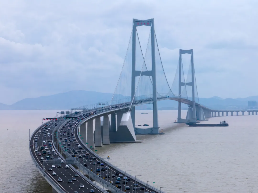 深中通道与它们同框，震撼！