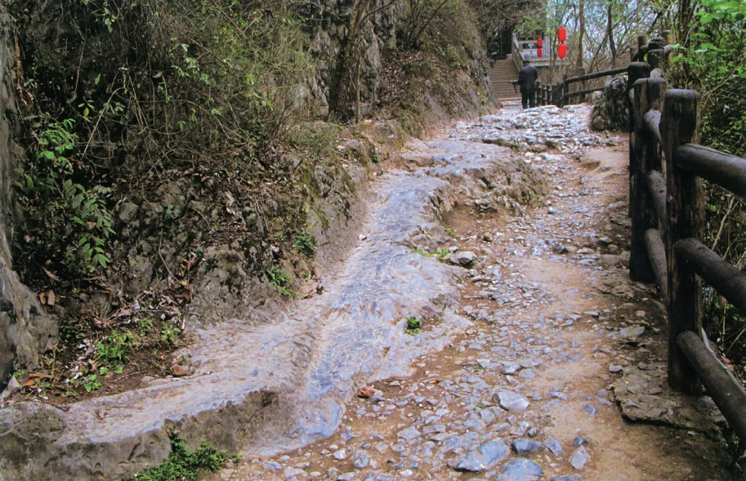 李桂芳：南方丝绸之路是文明交流互鉴之路