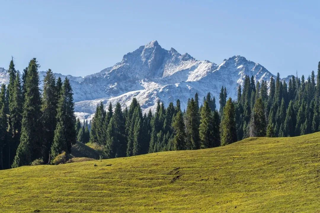 任冠 贵佳宜：考古学视野下唐代庭州军政体系的构建