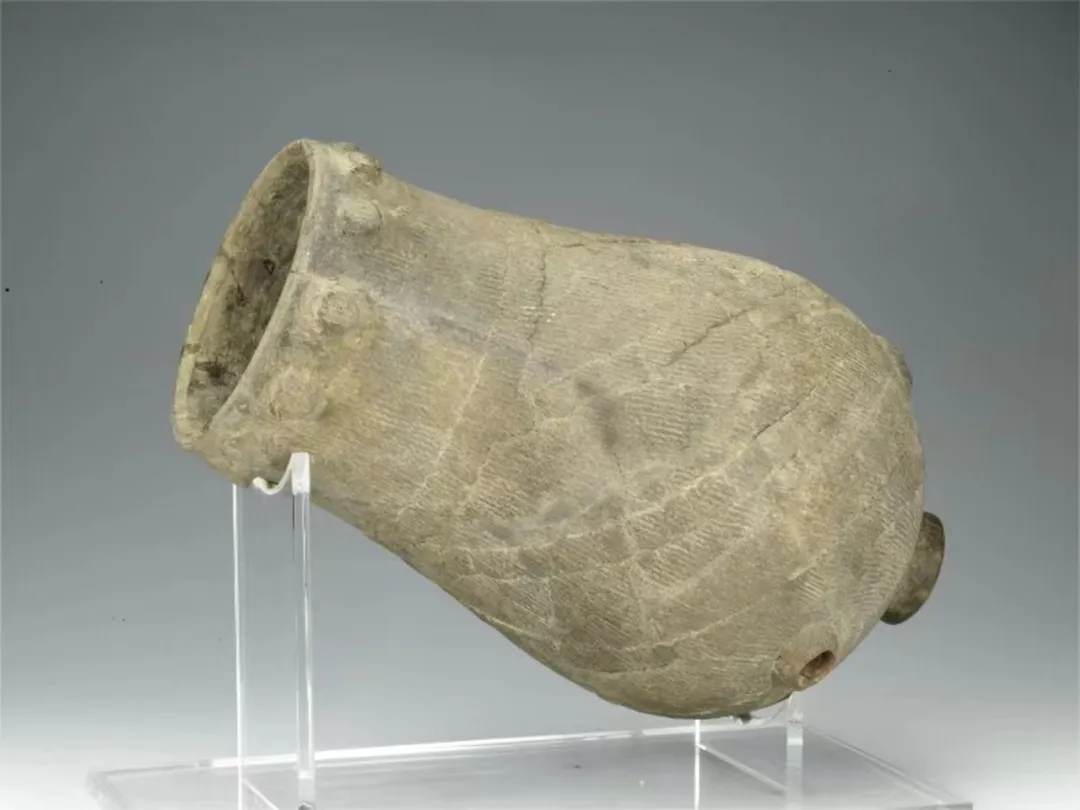 来香港，看中华文明的起源🤗