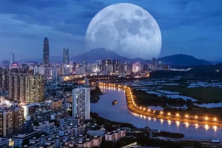 “北上”“南下”，热度持续攀升