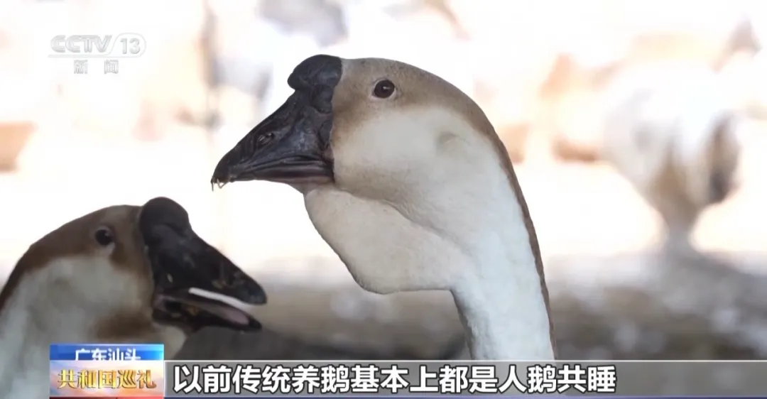 广东人追求的“鲜”，有了“科技味”