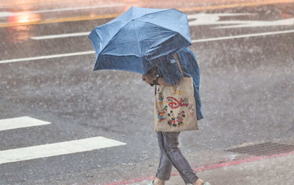 受“潭美”影响 这些地方停班、停课→