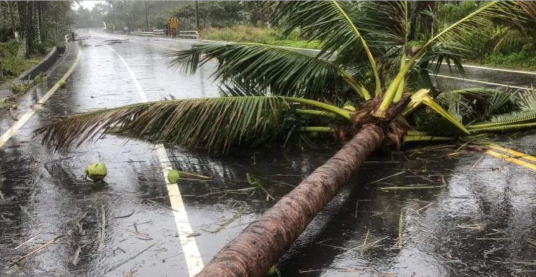 预计午后登陆，岛内多地已有灾情