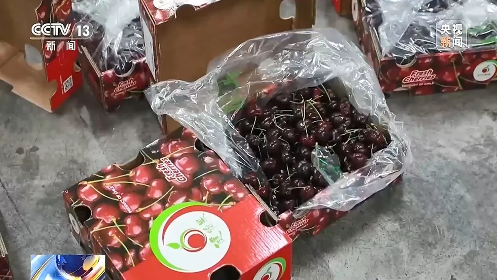 超2万吨车厘子！近六成将在广州销售→