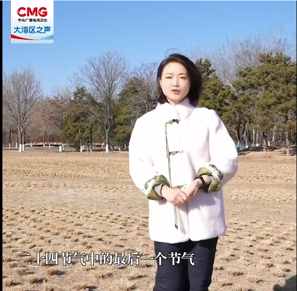 寒冬岁暮听风雪，静待春来万物生