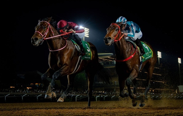 香港“馬王”“浪漫勇士”首戰泥地一級賽勇奪沙特杯亞軍 累計總獎金突破2億港元大關