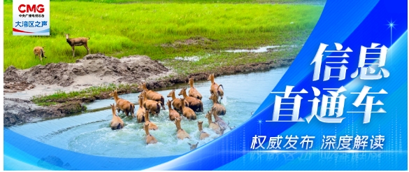 我国珍贵濒危野生动物种群总体恢复增长