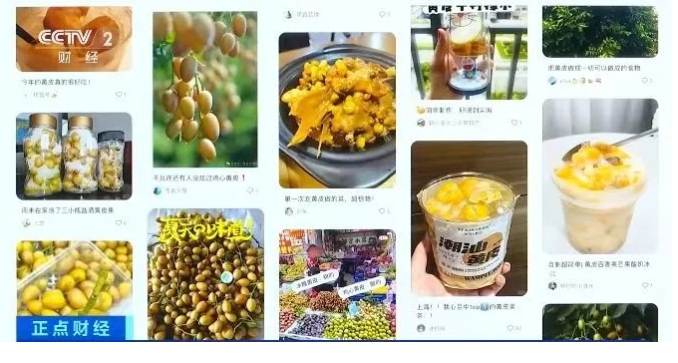 这种让广东人很“上头”的水果，吃法有讲究