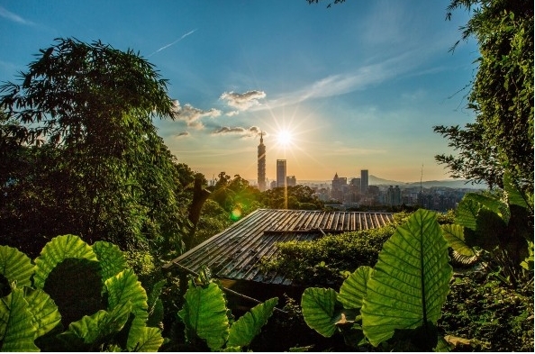 3月10日台海早資訊
