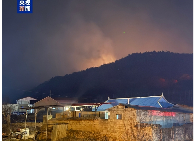 韓嚴重山火影響區域擴大至4.8萬公頃