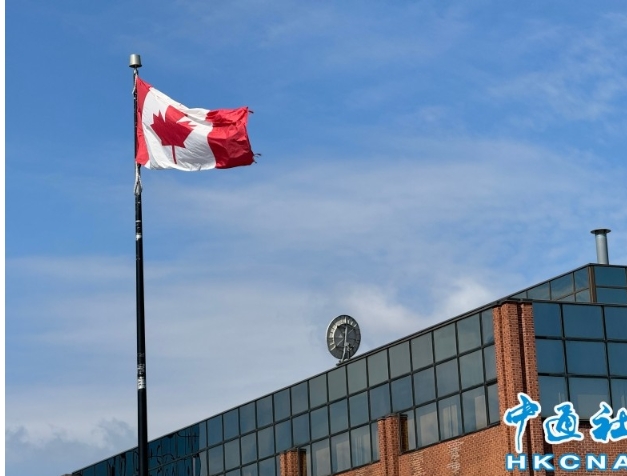 被特朗普關稅當頭一棒，加拿大經濟學家：該跟中國“講和”了