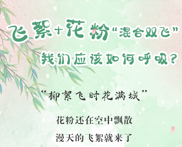 飛絮+花粉「混合雙飛」，我們應該如何呼吸？