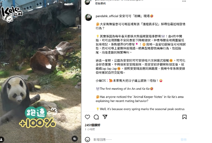 香港海洋公園為安安可可安排“相親”