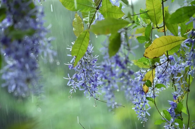 「五一」假期，廣東部分地區有大雨和暴雨