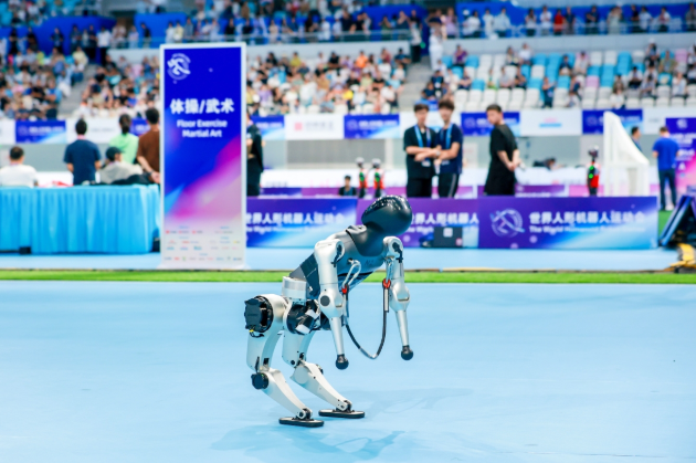 技術高度與創新活力：“世界機器人運動會”上的奪金者們