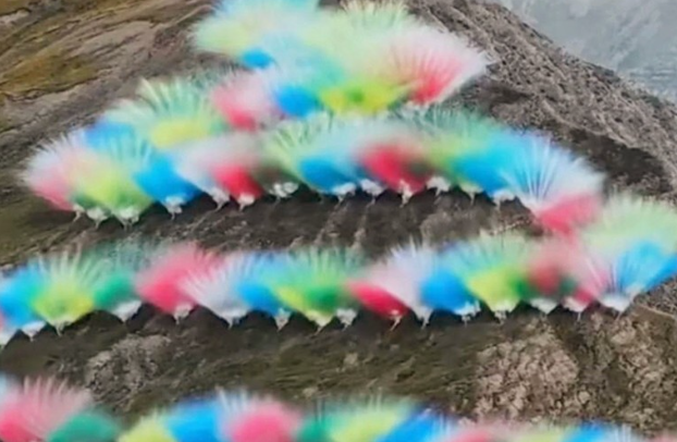 蔡國強煙花秀引關注 日喀則：調查組已趕赴現場核查