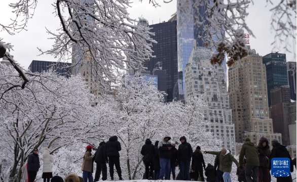 美國“掃地機器人鼻祖”iRobot破產重組
