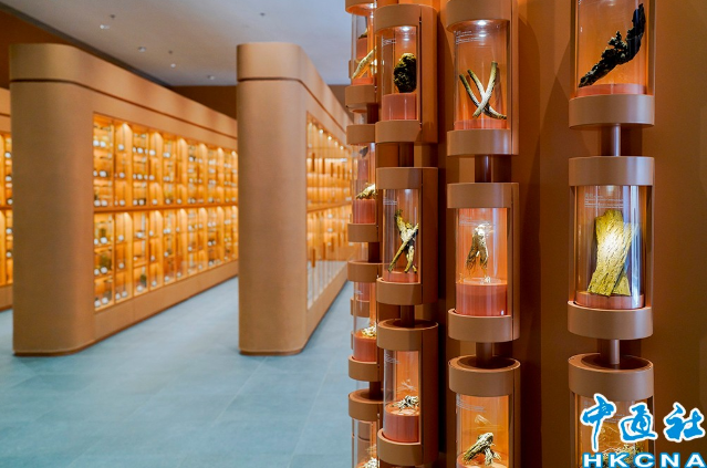 香港政府中藥檢測中心標本館開放　展出逾3,500份標本