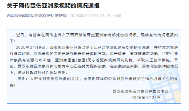 中方專家擬定西雙版納受傷野象初步救助方案