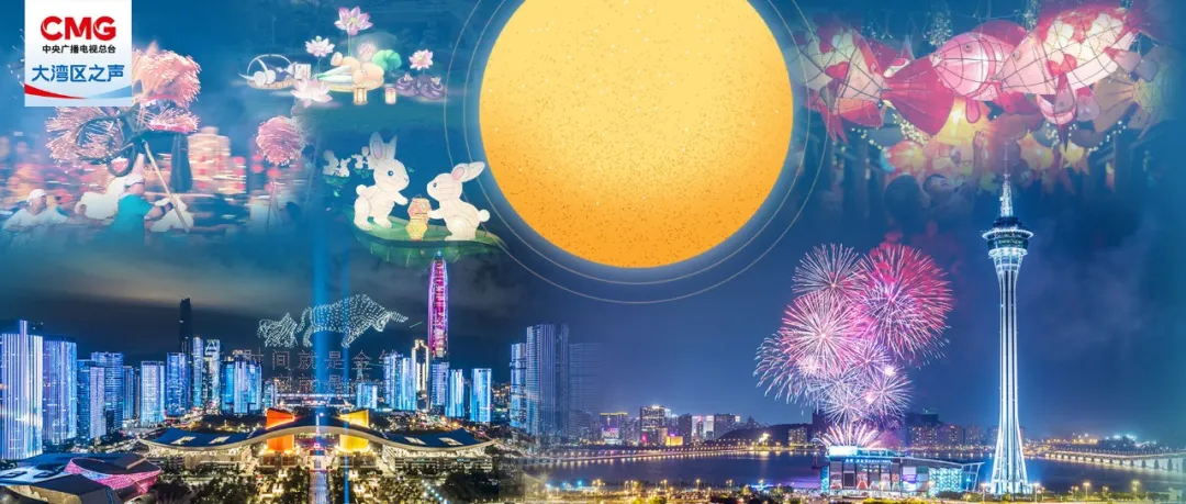 微信图片_20240912165715.png