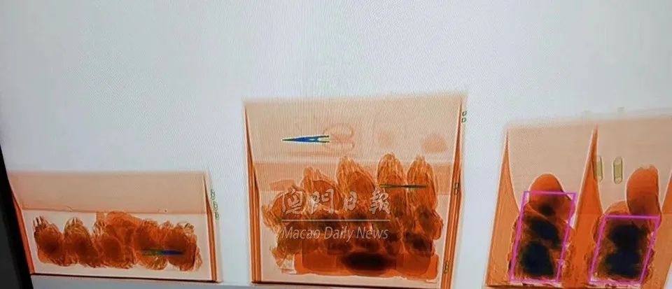 微信图片_20241009165822.png