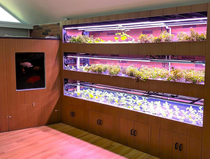 hk_c_1741231992113025544.png hk_c_image.png