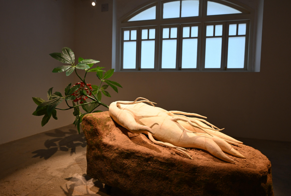 hk_c_1742560144428056620.png hk_c_image.png