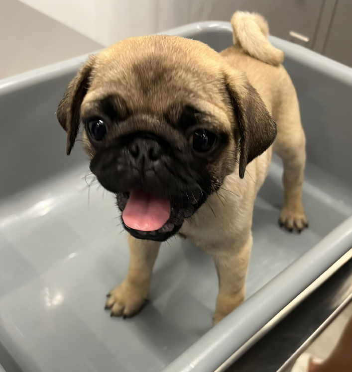 hk_c_1749123727821070068.png hk_c_image.png