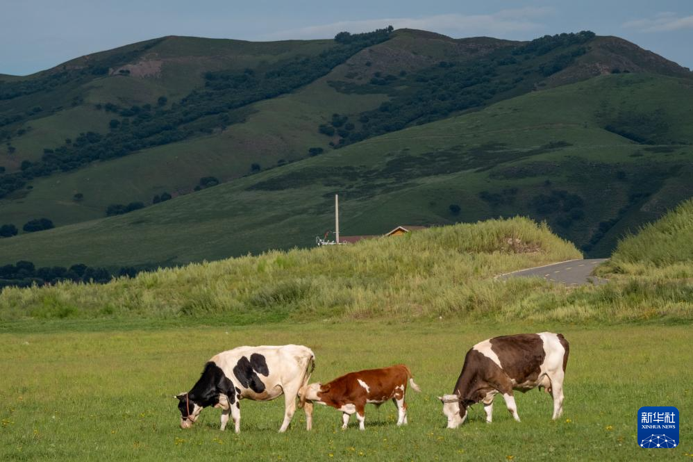 美丽中国丨内蒙古兴安盟:乌兰毛都草原景色美
