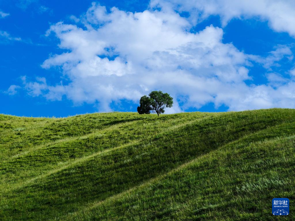 美丽中国丨内蒙古兴安盟:乌兰毛都草原景色美